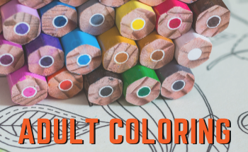 Adults Coloring Adults Coloring