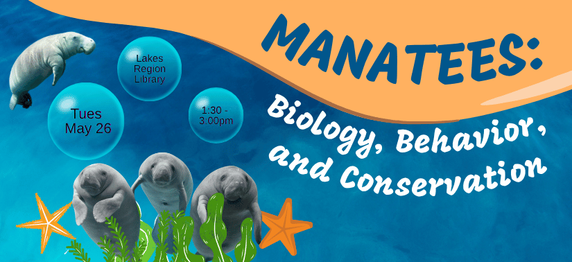 Manatees: Biology, Behavior, and Conservation. Tuesday, May 26 1:30 - 3:00pm Lakes Region Library