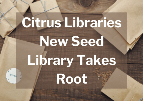 Citrus Libraries New Seed Library Takes Root