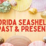 Florida Seashells: Past & Present