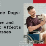 Service Dogs: The Law and How It Affects Businesses