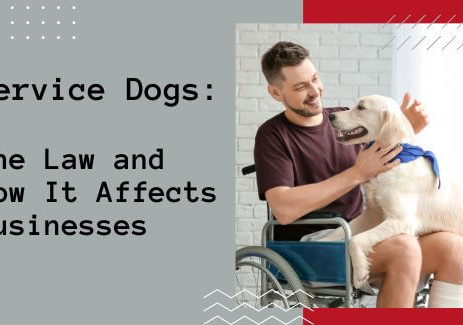 Service Dogs: The Law and How It Affects Businesses