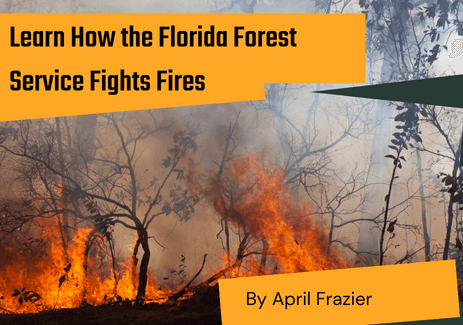 Learn How the Florida Forest Service Fights Fires