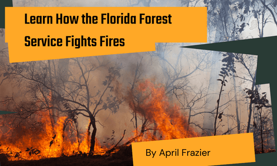 Learn How the Florida Forest Service Fights Fires