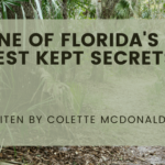 One of Florida’s Best Kept Secrets