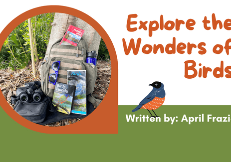 Explore the Wonders of Birds. Written by April Frazier