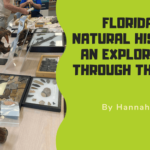 Florida’s Natural History An Exploration Through the Ages