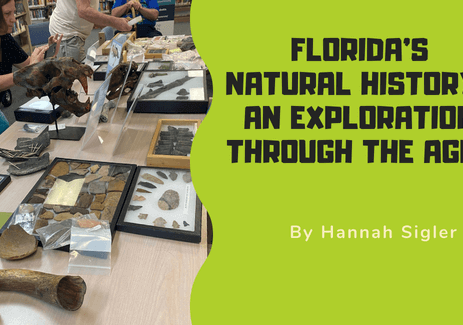 Florida’s Natural History An Exploration Through the Ages