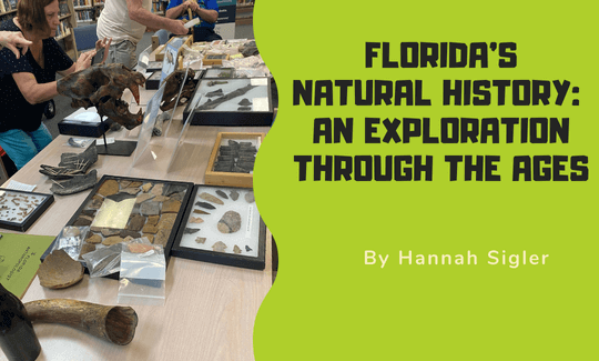 Florida’s Natural History An Exploration Through the Ages