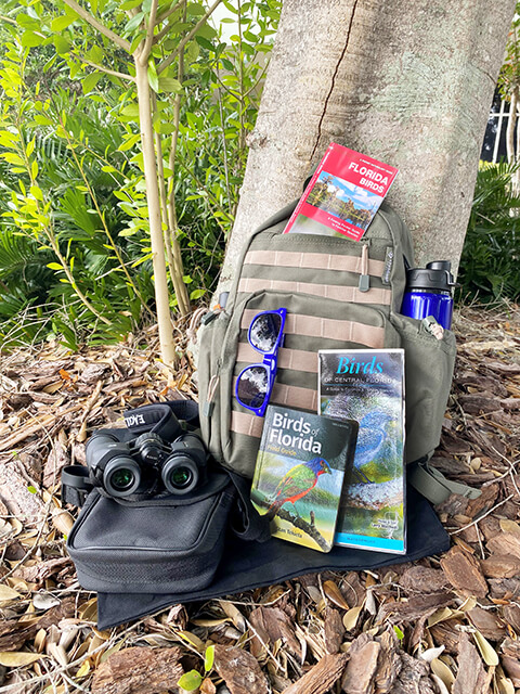 Green canvas backpack with binoculars, Florida birding pamphlets, and Florida birds book.