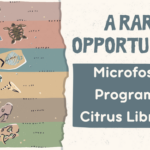 A Rare Opportunity Microfossils Program at Citrus Libraries
