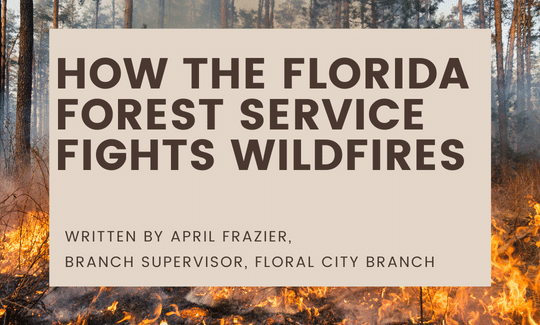 Learn How the Florida Forest Service Fights Fires. Written by April Frazier, Branch Supervisor, Floral City Branch