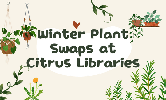 Winter Plant Swaps at Citrus Libraries