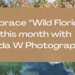 Embrace “Wild Florida” this month with Linda W Photography
