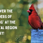 Discover the “Wonders of Birding” at the Coastal Region Library!