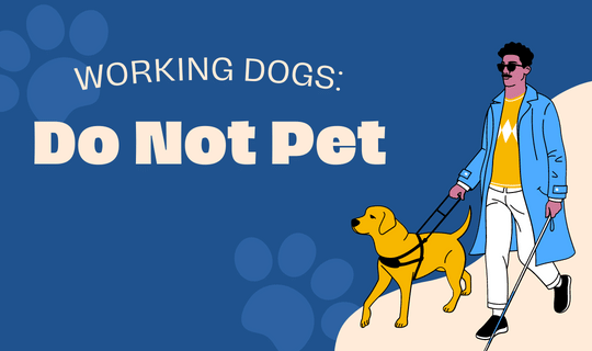 Working Dog Do Not Pet