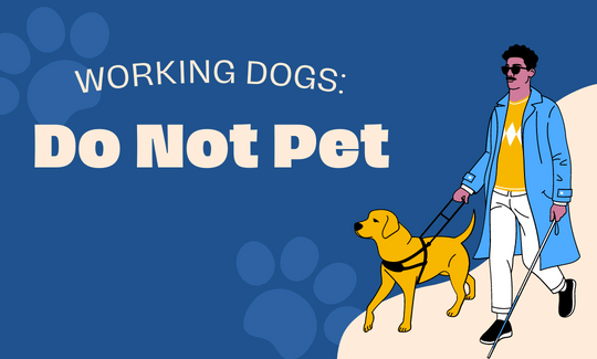 Working Dog Do Not Pet