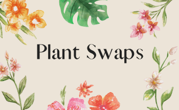 Plant Swaps