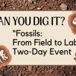 Can you dig it “Fossils From Field to Lab” Two-Day Event