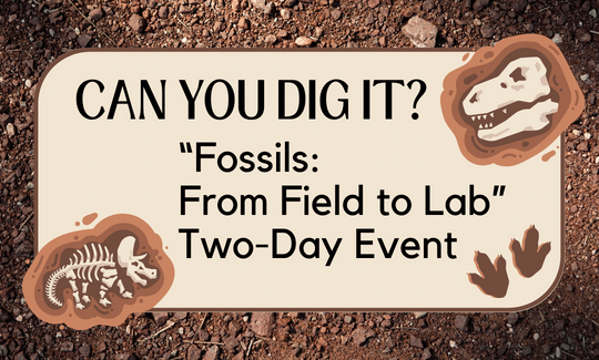 Can you dig it “Fossils From Field to Lab” Two-Day Event