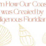 Learn How Our Coastline was Created by Indigenous Floridians!