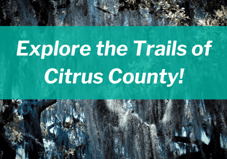 Explore the Trails of Citrus County!