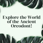 Explore the World of the Ancient Oreodont!
