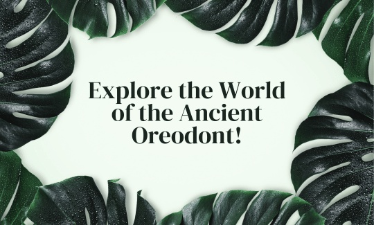 Explore the World of the Ancient Oreodont!