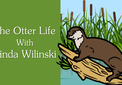 The Otter Life with Linda Wilinski