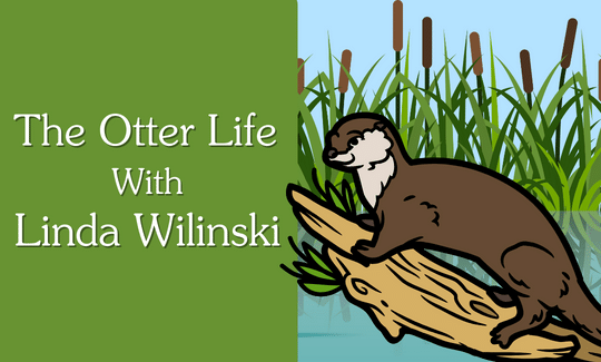 The Otter Life with Linda Wilinski