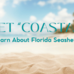 Get “Coastal”—Learn About Florida Seashells!