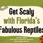 Get Scaly with Florida’s Fabulous Reptiles