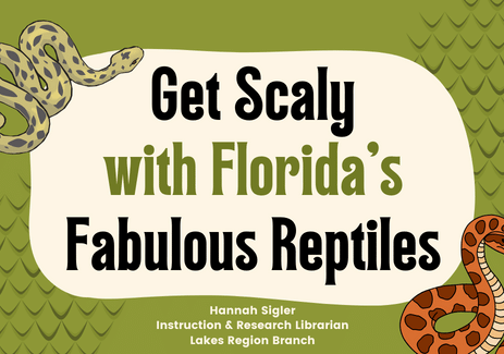 Get Scaly with Florida’s Fabulous Reptiles