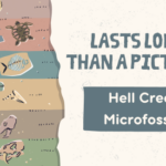 Lasts Longer Than a Picture Hell Creek Microfossils