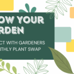 Grow Your Garden Connect with Gardeners at Monthly Plant Swap