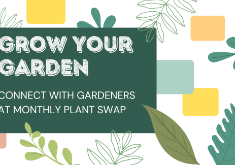 Grow Your Garden Connect with Gardeners at Monthly Plant Swap