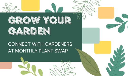Grow Your Garden Connect with Gardeners at Monthly Plant Swap