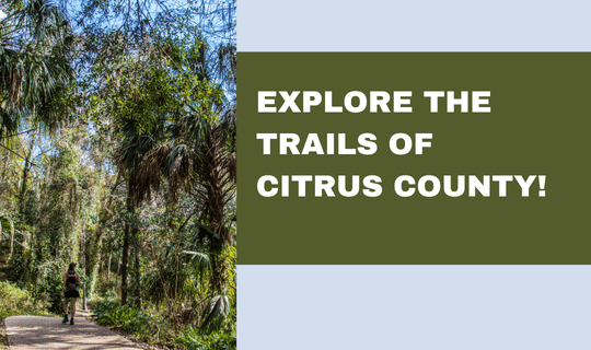 Explore the Trails of Citrus County!