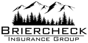 Briercheck Insurance Group Logo